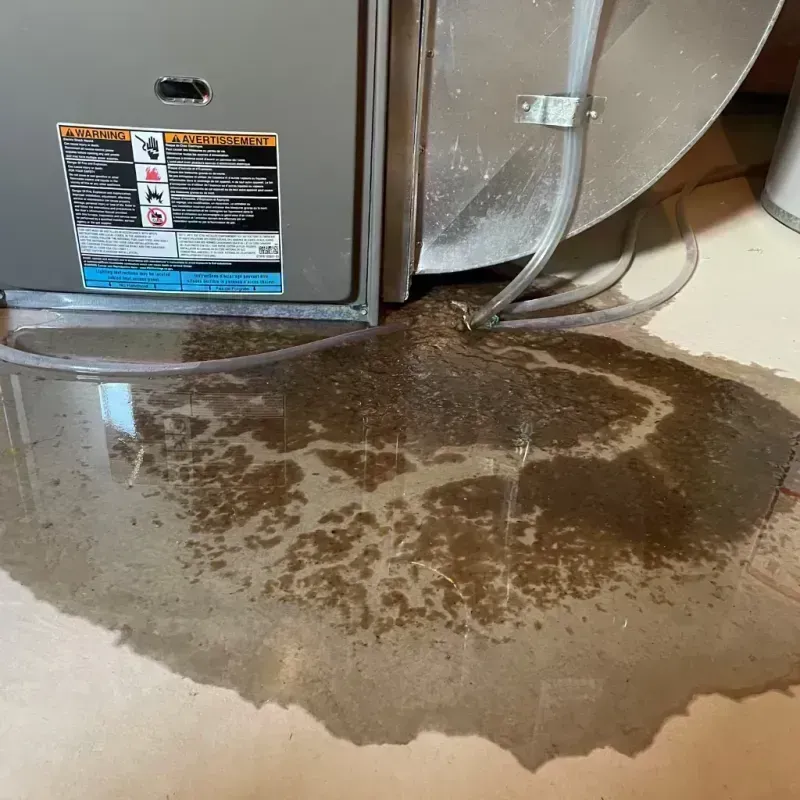 Appliance Leak Cleanup in Ames Lake, WA